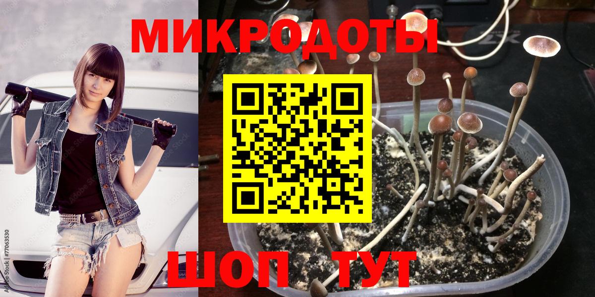 Сухой Лог  Псилоцибиновые грибы MAGIC MUSHROOMS  Вход с VPN 