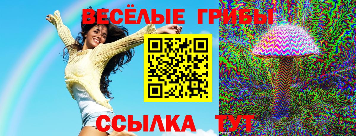 Псилоцибиновые грибы мухоморы Сухой Лог